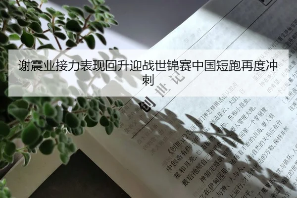 谢震业接力表现回升迎战世锦赛中国短跑再度冲刺