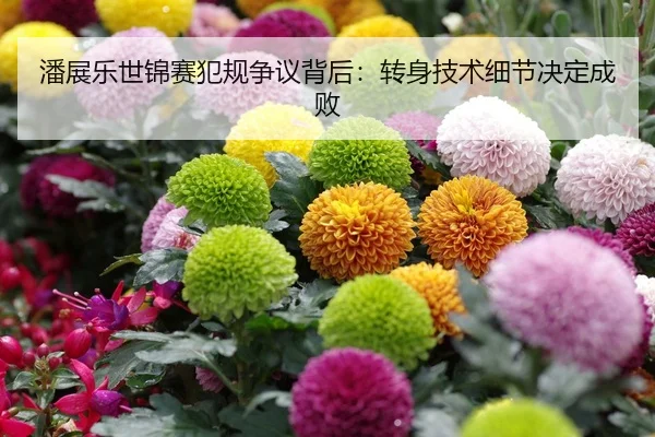 潘展乐世锦赛犯规争议背后：转身技术细节决定成败